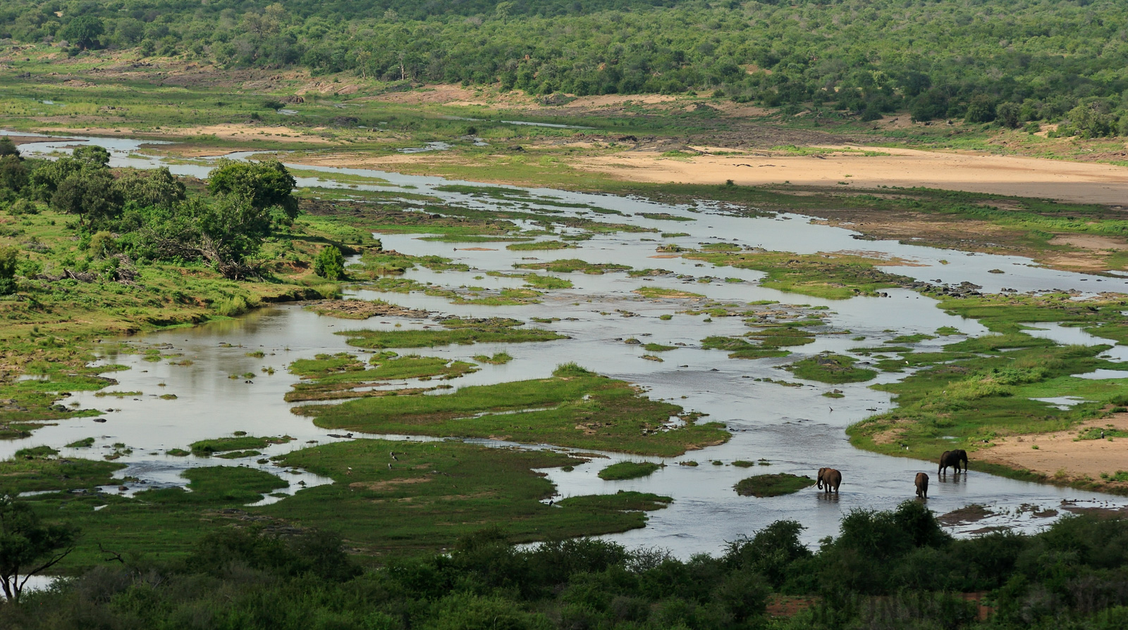 Kruger National Park [280 mm, 1/2500 sec at f / 8.0, ISO 1600]